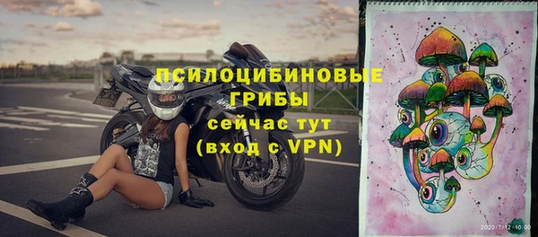спайс Белокуриха