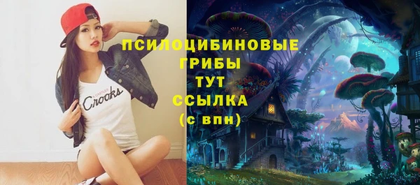 спайс Белокуриха