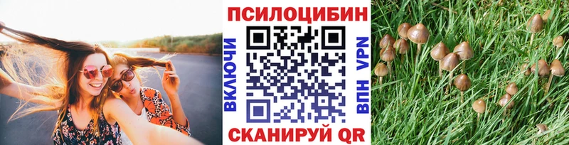 даркнет формула  Болгар  Галлюциногенные грибы мухоморы 