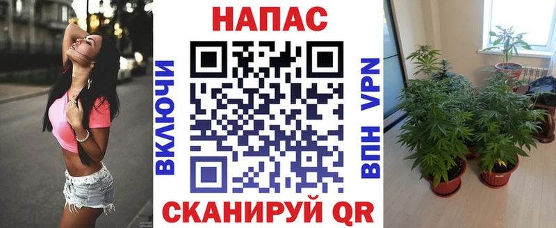 Канабис SATIVA & INDICA  Болгар 